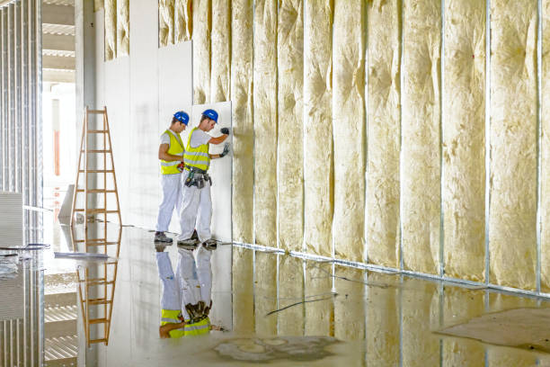 Best Insulation Installation Services in Cramerton, NC